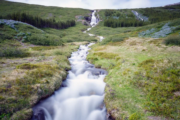 Wasserfall an den Westfjorden — Stockfoto