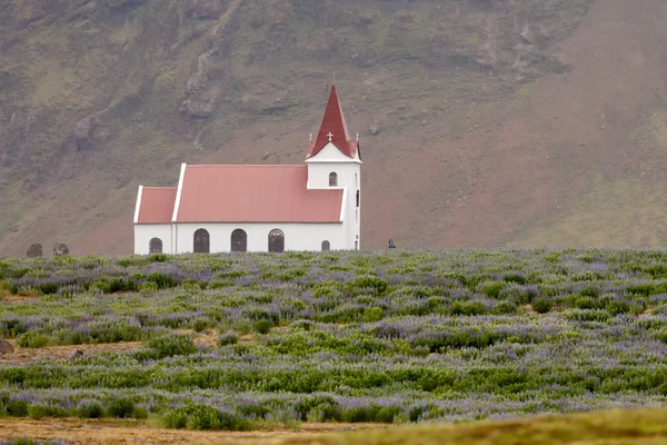 Iglesia de Helena en Snaefellsness — Foto de Stock