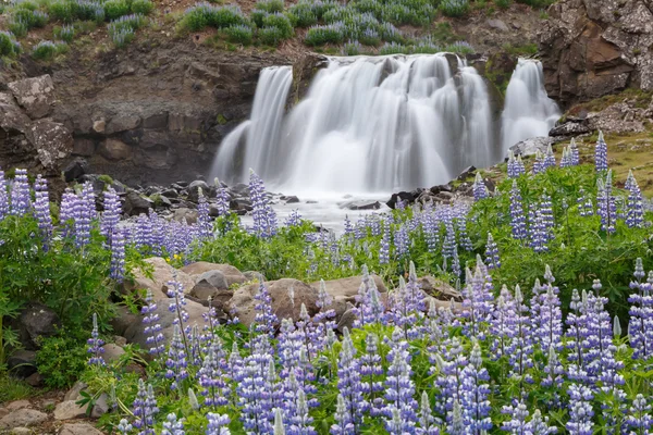 Wasserfallfossarrett mit Lupine — Stockfoto