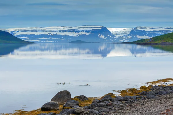 Fjord met in de afstand Vigur eiland — Stockfoto