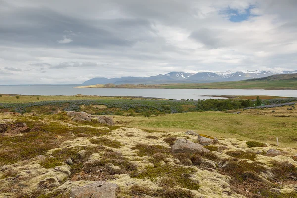 在冰岛的火山景观 — 图库照片