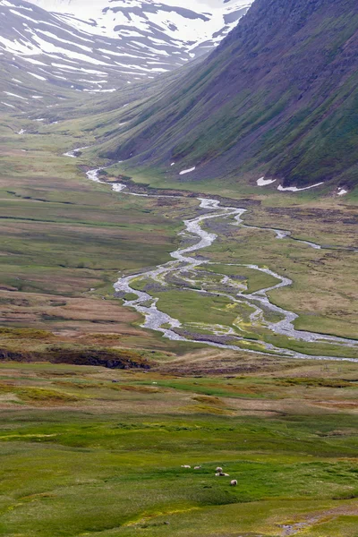 Исландский пейзаж в солнечный день — стоковое фото