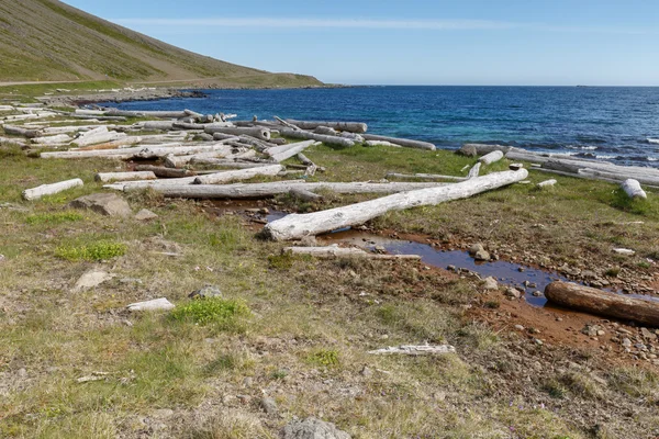 Legname alla deriva nella città dei fiordi occidentali — Foto Stock