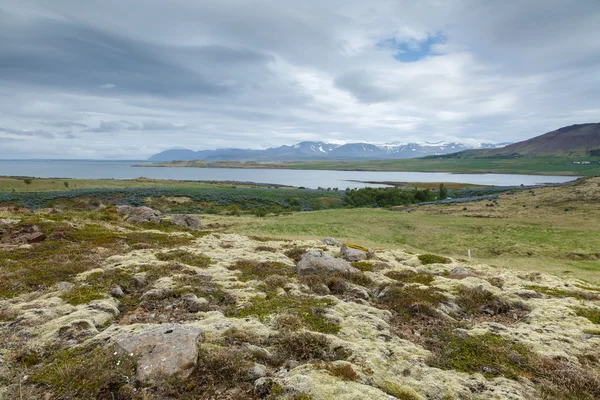 Volcanic landscape at Iceland — Stock Photo, Image