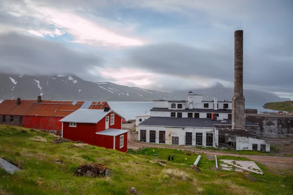 Djupavik visto de cima — Fotografia de Stock