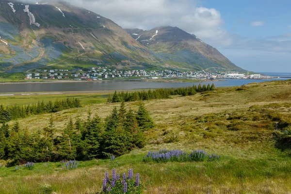 Isländska landskapet på en solig dag — Stockfoto