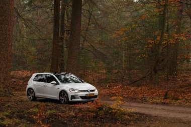 Gündüz vakti güz ormanlarından geçen modern bir araba. 