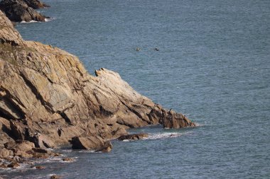Howth, Dublin 'in kuzeyindeki bir yarımadada bulunan büyüleyici bir balıkçı köyü. İrlanda 'nın en iyi deniz ürünleri, deniz tarihi ve engebeli doğal güzelliklerin mükemmel bir karışımı sunarak hem yerli hem de turistler için favori bir yerdir..