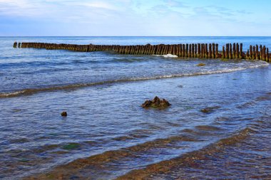 Yazın Baltık Denizi kıyısındaki eski ahşap dalgaların manzarası.