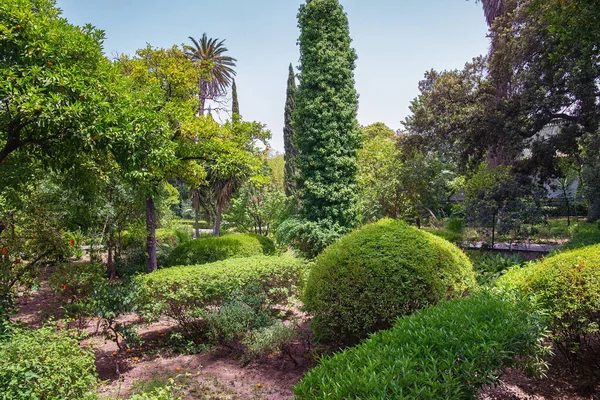 Městský Park Jardins Marche Verte Fezu Maroko — Stock fotografie