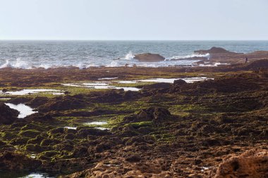 Fas 'ın Essaouira bölgesindeki Atlantik Okyanusu' nun volkanik kıyılarının alçak gelgit zamanında görüntüsü..
