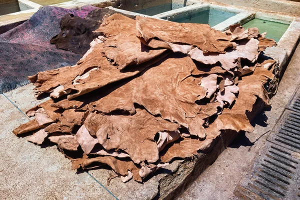 Drying Animal Skins Tannery Marrakech Sunny Day Morocco — Stock Photo, Image