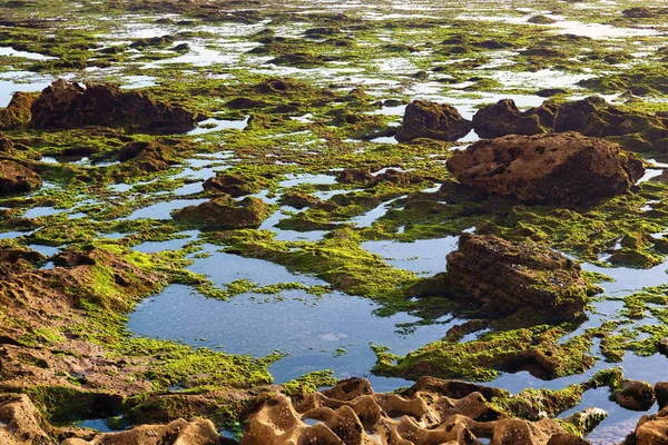 Ytan Atlantens Vulkaniska Strand Området Essaouira Marocko Lågvattenperioden — Stockfoto