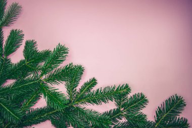 Evergreen ladin dalları, mesaj için alanı olan pastel pembe arka planda.