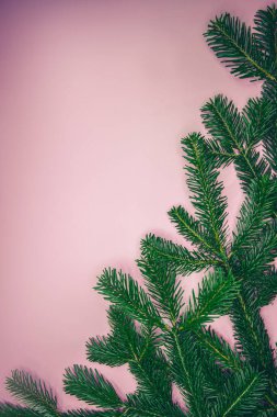 Yumuşak pembe arkaplanda yeşil köknar dalları ve kopyalama alanı. Tebrik kartları, posterler ve festival tasarımı için en düşük Noel kompozisyonu.