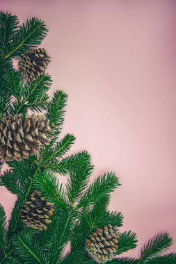 Bayram mesajları, davetiyeler ve mevsimsel markalaşma için ideal geniş bir kopya alanı içeren pembe arka planda dizilmiş çam kozalaklı şenlikli köknar dalları..
