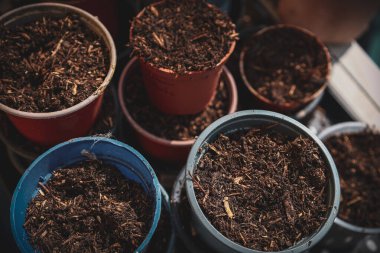 Saksı toprağı ile dolu küçük kaplar ve tohum ekmeye hazırlar. Kopya alanı ile ev bahçe hazırlama süreci.