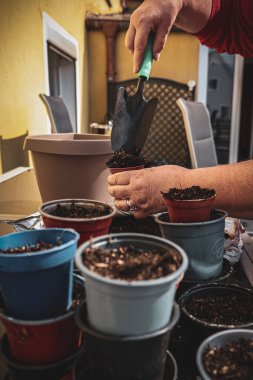 Tohum ekmeden önce bahçıvanın elleri çömlekleri toprakla dolduruyor. Ev bahçe işleme süreci.