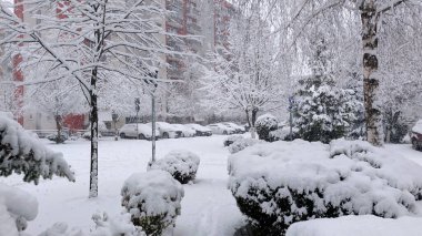 Şiddetli kar yağışı, ağaçlar, çalılar, arabalar ve huzur dolu bir avludaki apartman binalarını kaplayarak, taze kar ve soğuk hava atmosferiyle sakin bir kentsel kış manzarası yaratıyor.