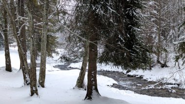 Sakin bir kış ormanı sahnesi, akan bir dere, karla kaplı zemin ve çıplak ağaçlar, soğuk havayı ve el değmemiş vahşi doğayı yansıtan huzurlu bir doğal manzara yaratıyor.