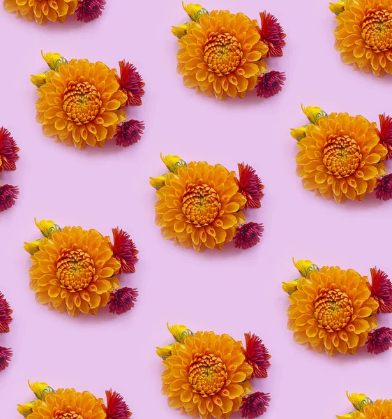 Hermosas Flores Sobre Fondo Color — Foto de Stock