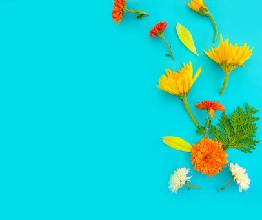 Renkli arka planda güzel çiçekler 