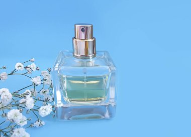 Renkli arka planda bir şişe parfümü çiçeği.