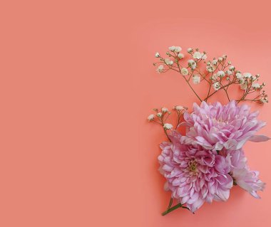 Renkli arka planda güzel çiçekler