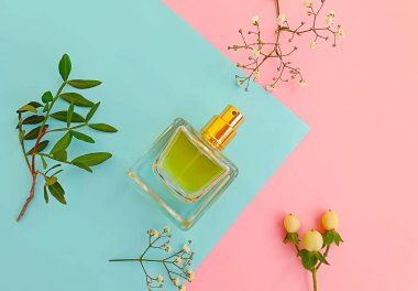 Renkli arka planda bir şişe parfümü çiçeği.