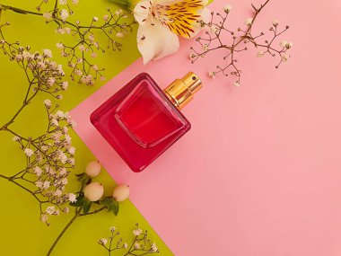 Renkli arka planda bir şişe parfümü çiçeği.