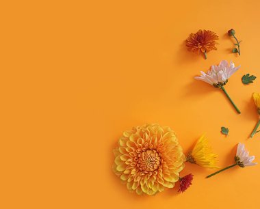 Renkli arkaplanda çiçek aranjmanı