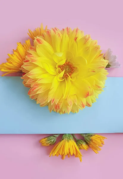 Pengaturan Floral Latar Belakang Berwarna — Stok Foto