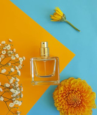 Renkli arka planda bir şişe parfümü çiçeği.