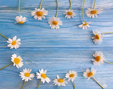 Ahşap arka planda papatya çiçeği