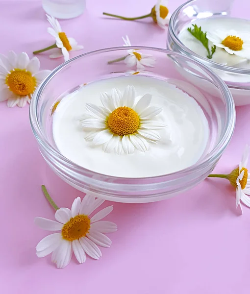 Cream Cosmetic Chamomile Flower Colored Background — Stock Photo, Image