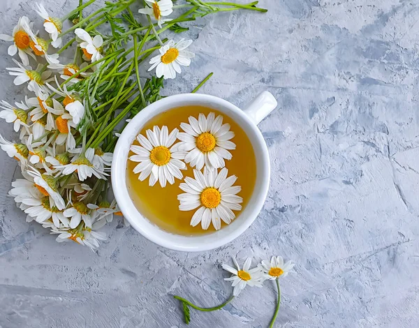 Chamomile Flower Tea Concrete Background — Stock Photo, Image