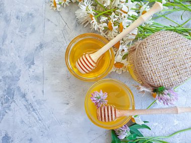 Beton arka planda taze bal yoncası çiçeği