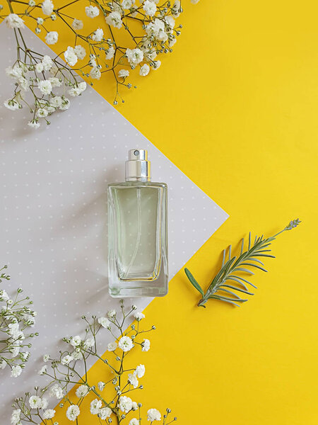 bottle perfume flower on a colored background