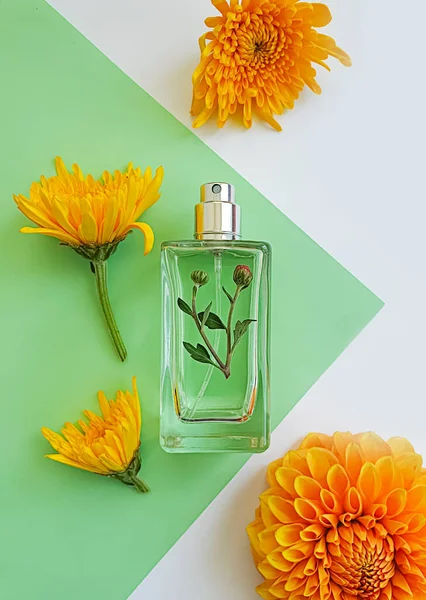 Fles Parfum Bloem Een Gekleurde Achtergrond — Stockfoto