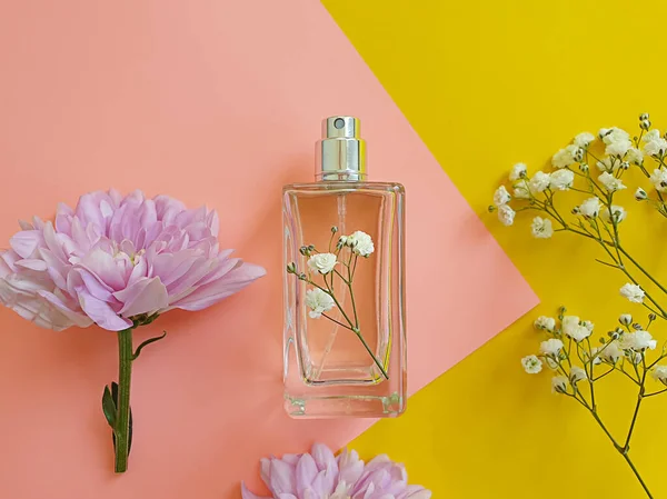 Cosmetic Cream Flower Concrete Background — Stock Photo, Image