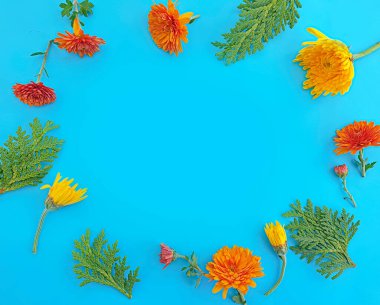 Renkli arkaplanda çiçek aranjmanı