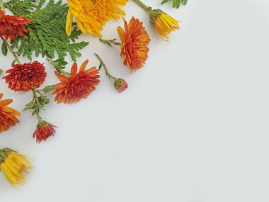 Renkli arkaplanda çiçek aranjmanı