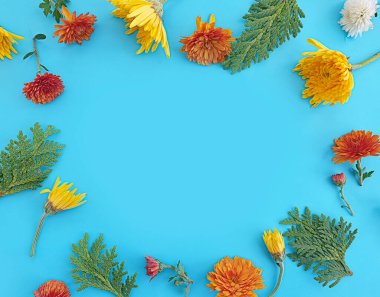 Renkli arkaplanda çiçek aranjmanı