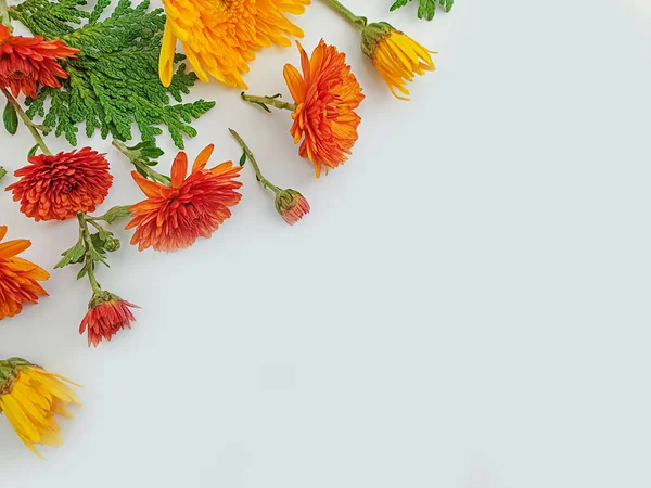 Renkli arkaplanda çiçek aranjmanı