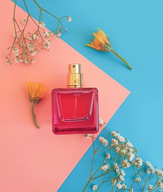 Renkli arka planda bir şişe parfümü çiçeği.