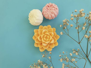 Renkli arka planda doğal sabun çiçeği