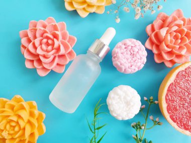 Renkli arka planda doğal sabun çiçeği