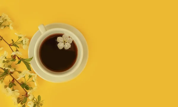 Tasse Kirschblütenkaffee Auf Farbigem Hintergrund — Stockfoto