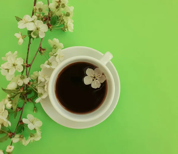 Tasse Kirschblütenkaffee Auf Farbigem Hintergrund — Stockfoto