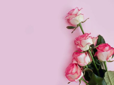 arkaplan çerçevesinde gül çiçeği